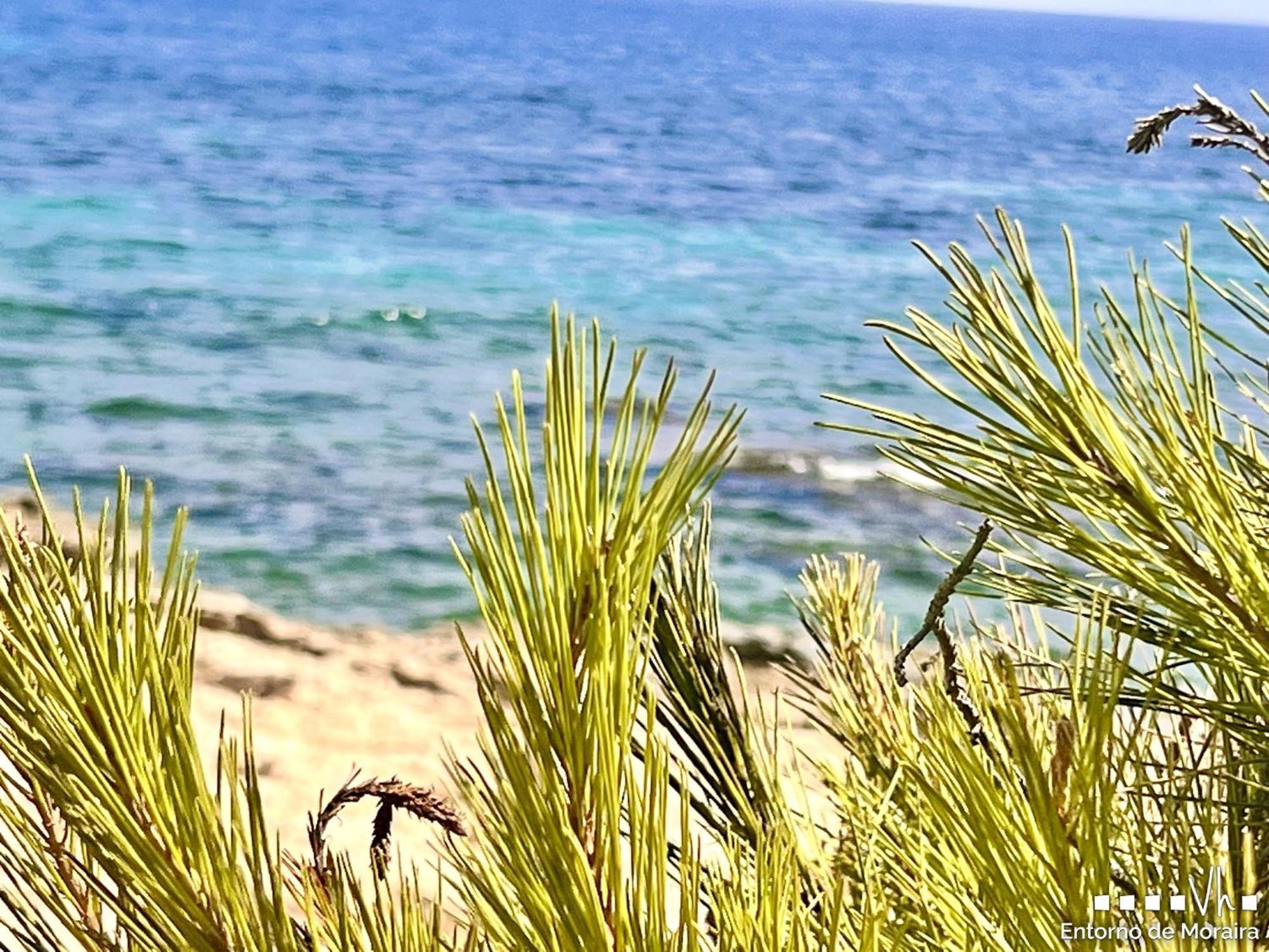 Vh Costablanca - Merlin Benissa Bagian luar foto